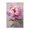 Blush Pink Peony Floral Botanical, variant on Stupell Industries Cottage Pink Rose in Bloom Canvas Art, 16 x 24, by Petals Prints Design