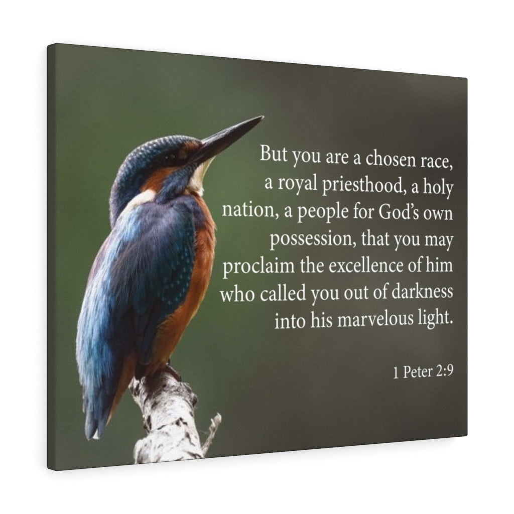 Scripture Walls Royal Priesthood 1 Peter 2 9 Bible Verse Canvas 