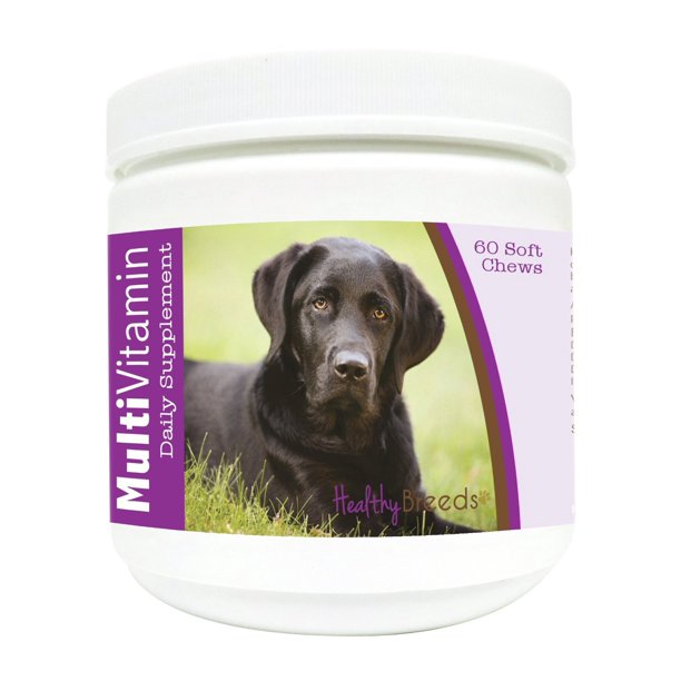 Healthy Breeds Dog MultiVitamin Soft Chew for Labrador Retriever
