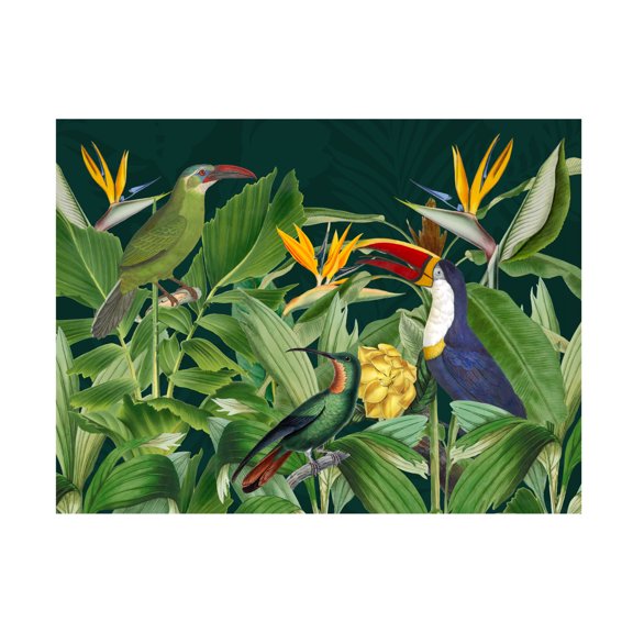 Trademark Fine Art Andrea Haase Rainforest Birds Canvas Wall Art