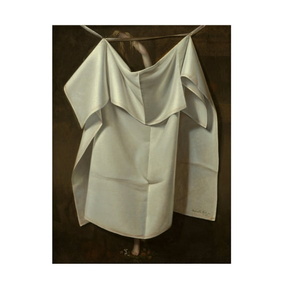 Raphaelle Peale 'Venus Rising From The Sea A Deception' Canvas Art