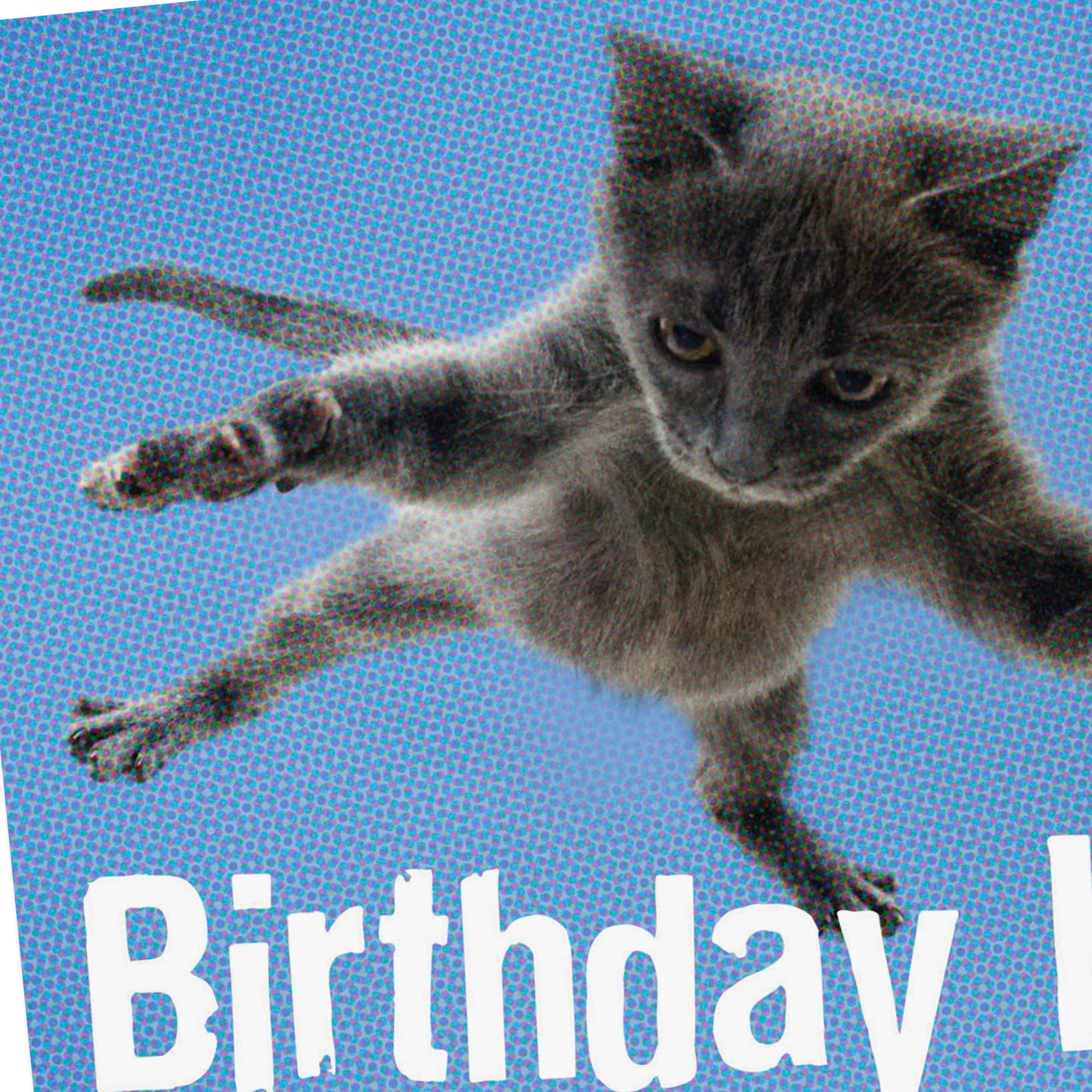 Hallmark Shoebox Funny Birthday Card (Brace Yourself for a Birthday Hug)