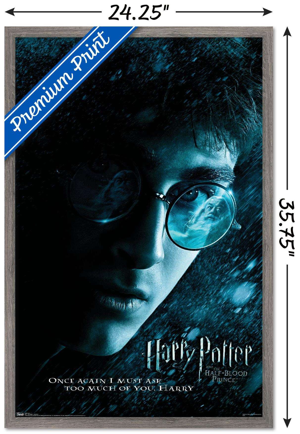 Harry Potter and the Half-Blood Prince - Harry Close-up One Sheet Wall Poster, 22.375" x 34", Framed