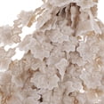 thumbnail image 3 of 15yds Vintage Embroidery Edge Ribbon Wedding Applique DIY Sewing Craft Light Beige, 3 of 8