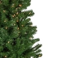 thumbnail image 3 of Northlight 7' Pre-Lit Norfolk Spruce Artificial Christmas Tree, Clear Lights, 3 of 5