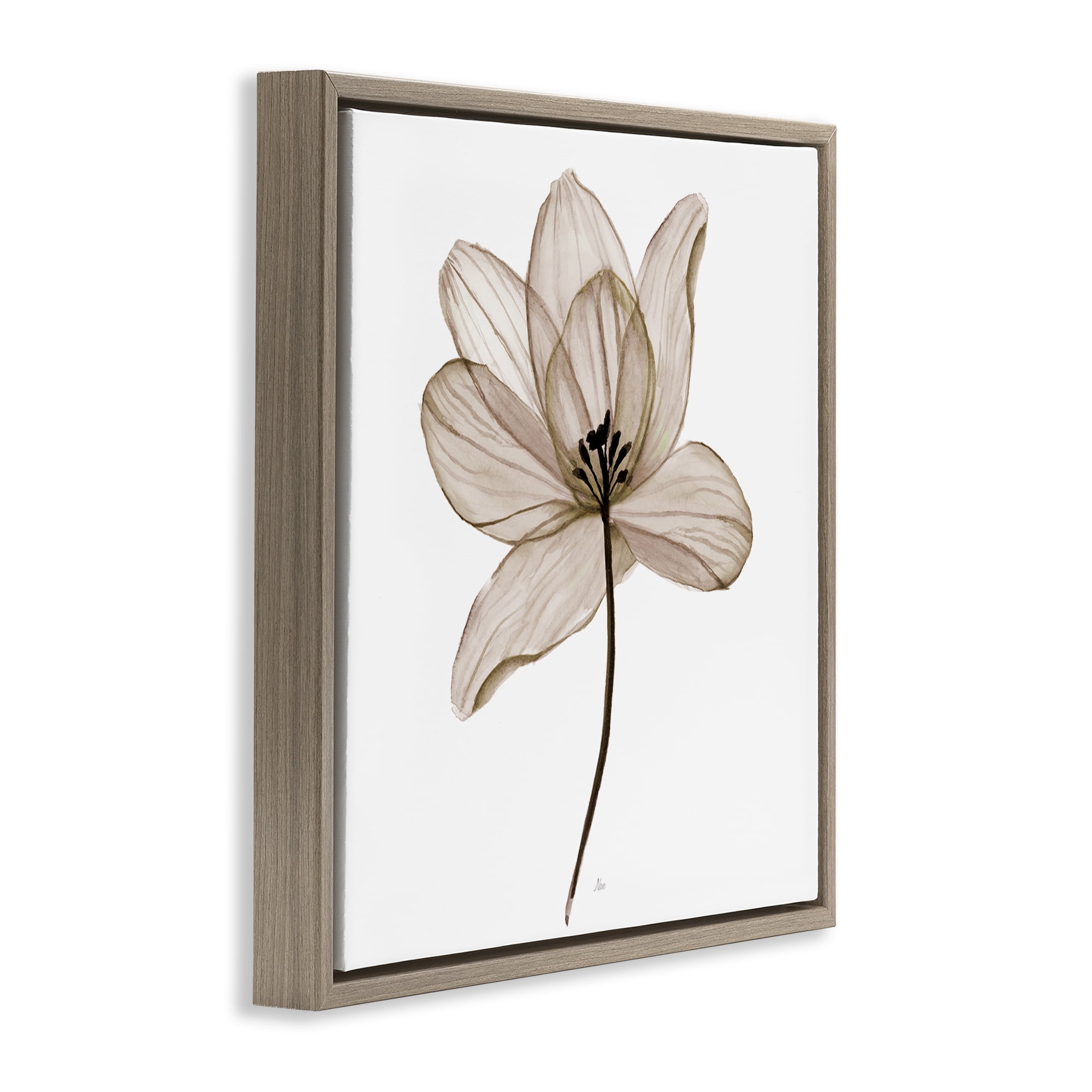 Stupell Industries Beige Opaque Flower Plants & Flowers Painting Brown Floater Framed Canvas Art Print Wall Art, 18 x 18