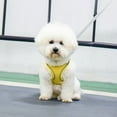 thumbnail image 5 of Soft Mesh Step In Dog Harness And Leash Set With Reflective Bands For Secure Walking Comfort Adjustable No Pull Pet Supplies For Small Dogs And Cats, 5 of 5