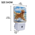 thumbnail image 4 of Cute Golden Haired Dog Playing Water Night Light 2 Pack LED Nightlight Plug into Wall Dusk to Dawn Sensor Soft White, 4 of 7