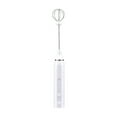 thumbnail image 1 of Vaidha Mousseur à Lait Portable en Acier Inoxydable Fouet Double pour Œufs, 1 of 1