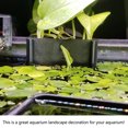 thumbnail image 3 of Soporte de Planta de Acuario Decoración de Tanque de Peces Gancho Intepado Soporte de Planta Acuática Resistente Plástico Drablado Abs Adecuado Parios Acuarios, 3 of 7