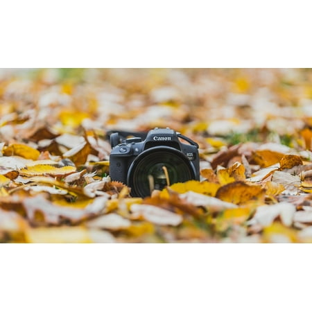 Canvas Print Lens Camera Fall Leaf Photography Portrait Canon Stretched Canvas 10 x