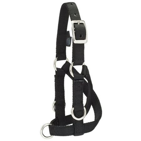 - Weaver Leather Sheep/Goat Training Halter Large LARGE Black