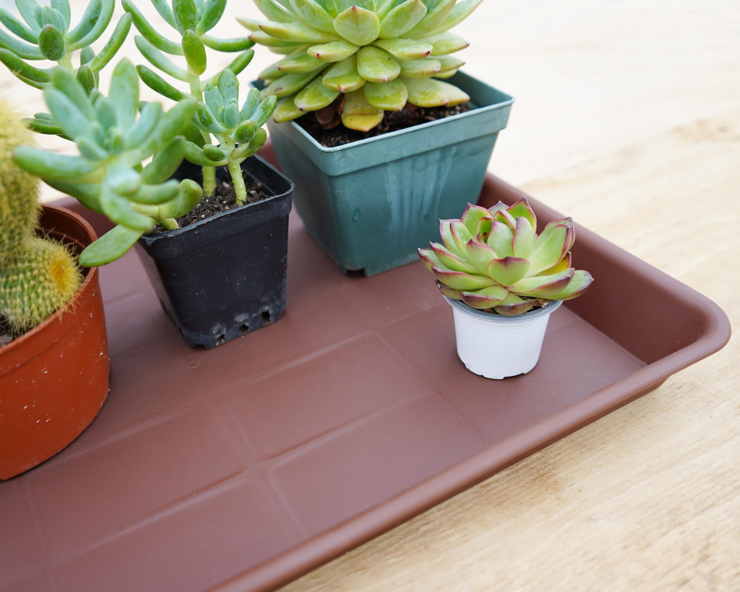 Plant Saucer Growing Tray Set 2-Pack 11x9 Inch Heavy Duty Plastic Seed Starter Trays with Drainage for Indoor Outdoor Pots Gardening Supplies