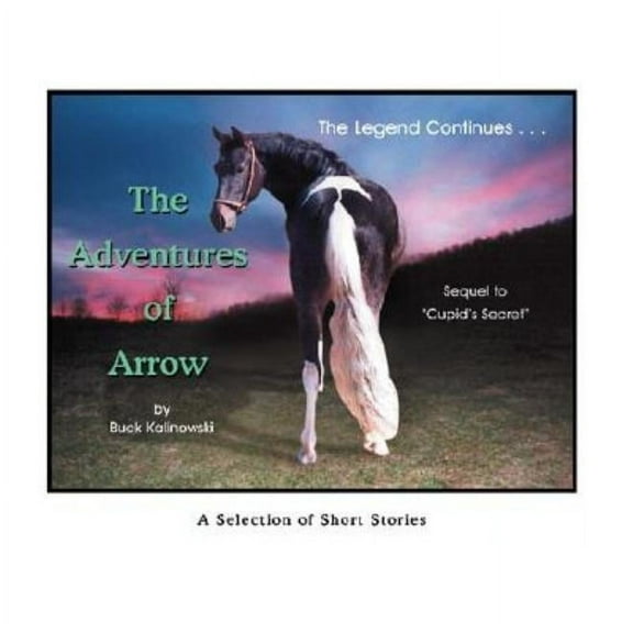 The Adventures of Arrow, (Paperback)