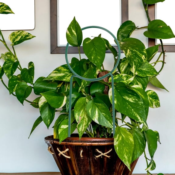 WASHWEPE 3Pcs Potted Plants Climbing Holder Iron 10.9X4.1In