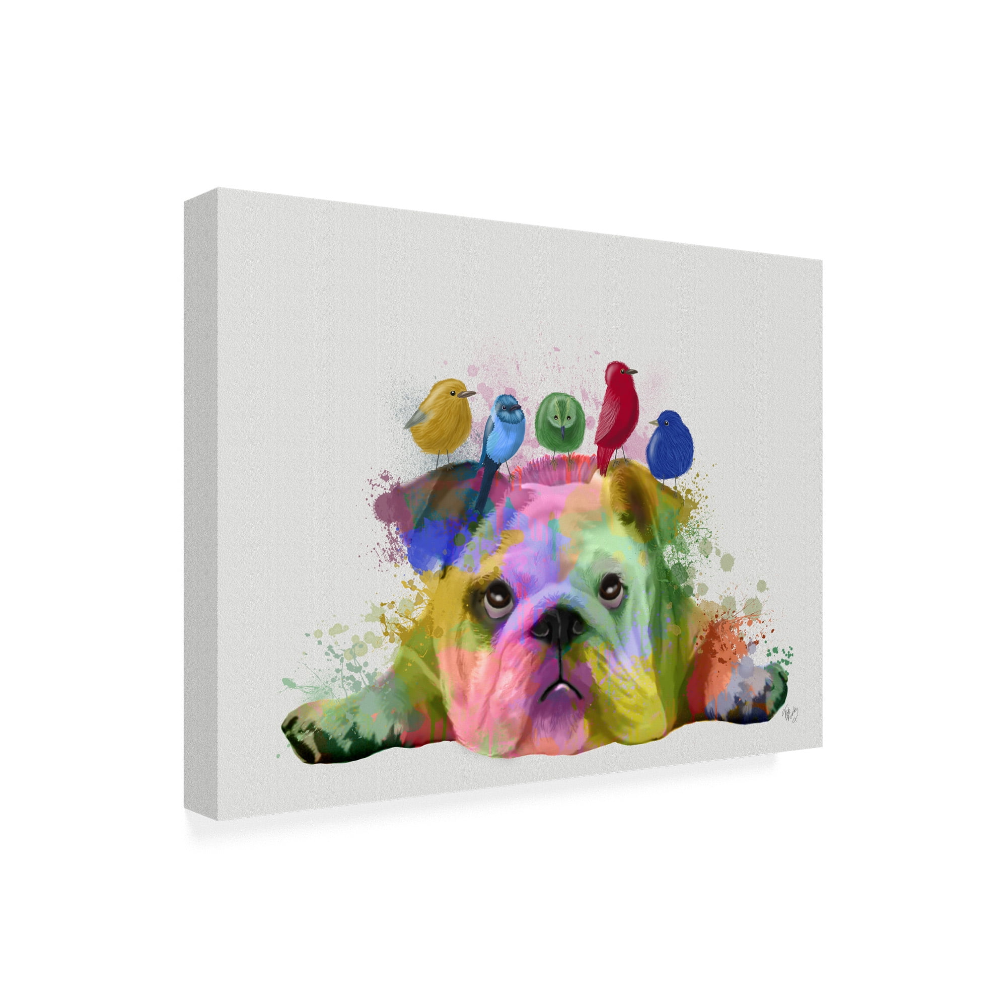 Trademark Fine Art 'English Bulldog and Birds, Rainbow Splash' Canvas Art by Fab Funky