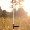 thumbnail image 4 of 6LED Solar-Powered Colorful Light for Indoor/Outdoor Use - Perfect for Garden, Yard, and Lawn Decorations, 4 of 8