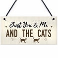 thumbnail image 2 of Cheer.US Wood Cat Sign Decor Cat Lover Sign, Hanging Pet Sign for Home Decor, Decorative Plaque Funny Cat Sign, Cat Wall Art Puppy Sign Cat Lover Gift, 2 of 7
