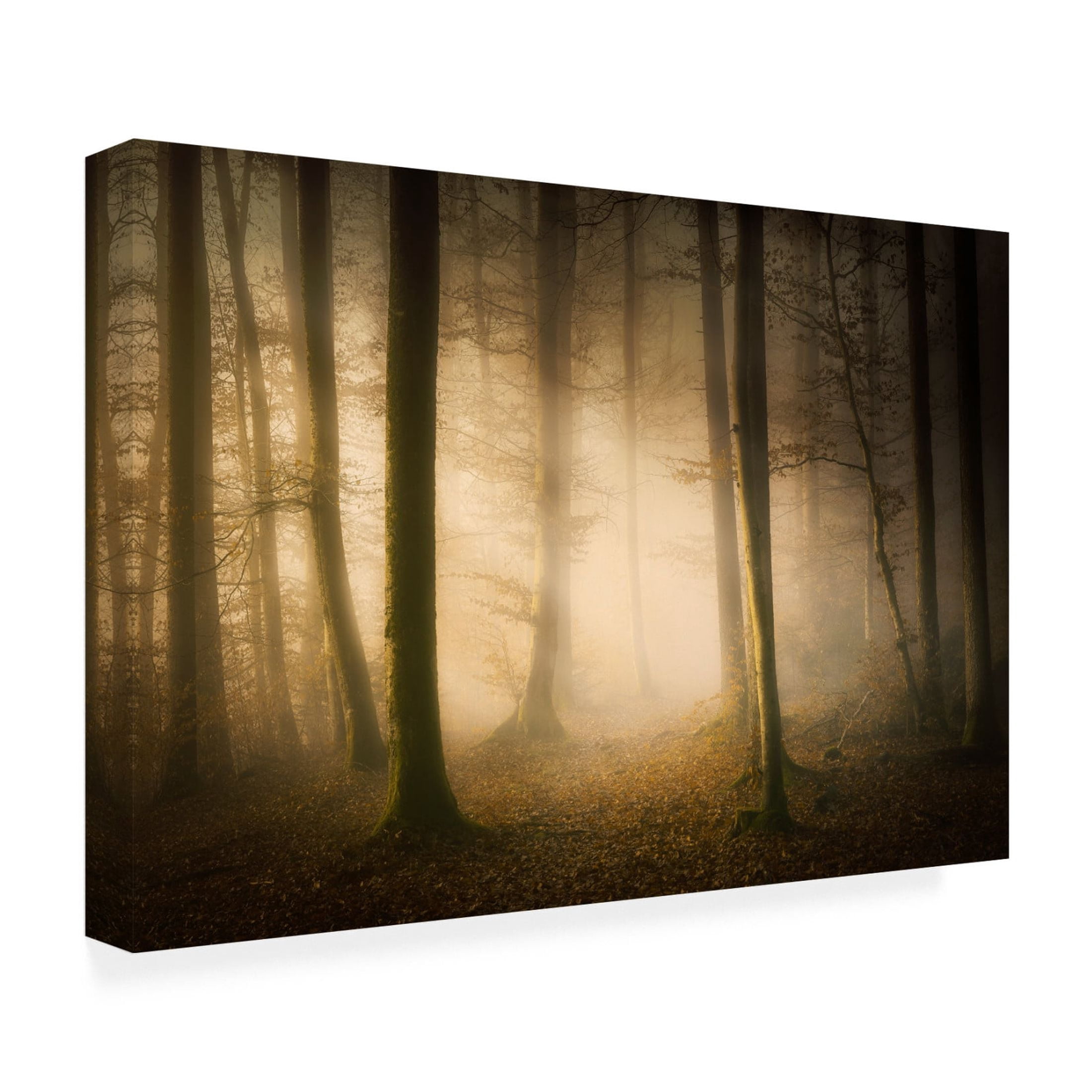 Canvas Wall Art - Norbert Maier 'November Whispers' Wall Art for Living Room, Bedroom, or Office Décor by Trademark Fine Art - 19 x 12 Inches