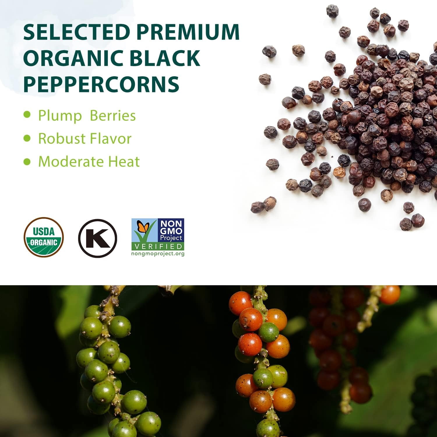 Soeos Organic Black Pepper Ground Fine 18oz (510g), Non-GMO, Freshly Packed, Fine Ground Black Peppercorns Powder for Refill.