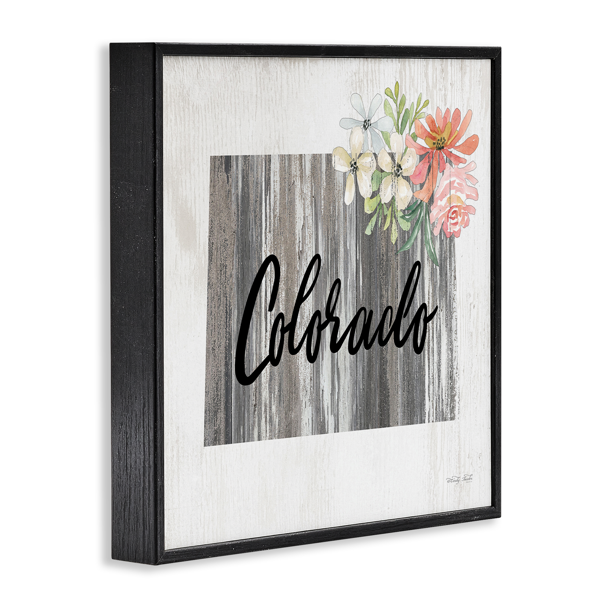 Stupell Industries Shabby Chic Colorado Botanical & Floral Painting Black Framed Art Print Wall Art, 24 x 24