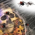 thumbnail image 1 of Fiudx Modelo de Acción de Araña, Juguete de Insecto Realista, Diseño Colorido y Duradero, Textura Realista para Jugar En Interiores y Exteriores, Regalo Educativo para Niños y Niñas, Tamaño 7,5 X 9,5, 1 of 2