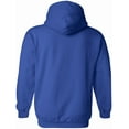 thumbnail image 4 of Star Labs Hoodie - Star Laboratories Vintage Hooded Sweatshirt Royal S, 4 of 5
