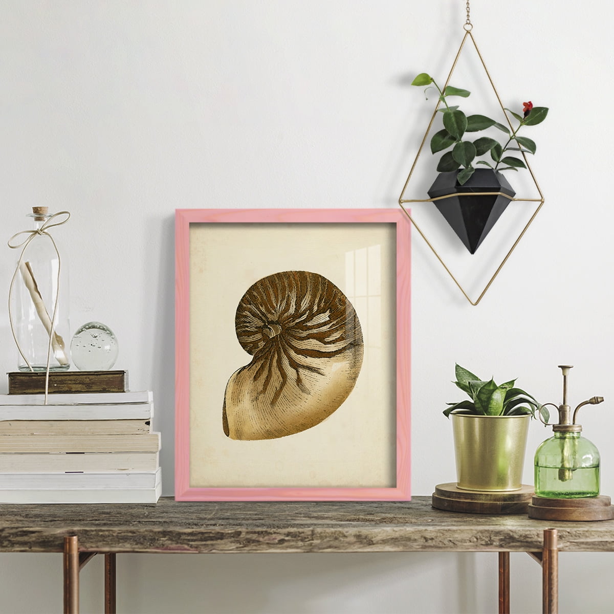 Sealife Collection V - Framed Print w/glass - Sunset Pink