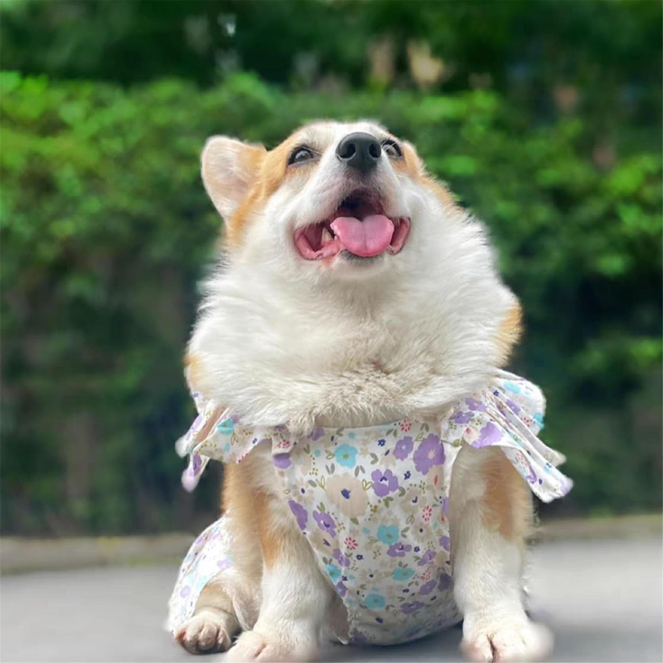 UOSIA Dog Dresses for Large Dogs Girl Cute Floral Puppy Dresses Pet Cat Princess Costume,XXL,Purple
