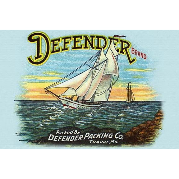 Defender Sail-Fine Art Canvas Print (20" x 30")