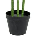 thumbnail image 5 of Northlight 3.3' Unlit Artificial Potted Two Tone Tropical Mini Palm Tree, 5 of 5