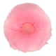 thumbnail image 4 of Bolas de juguete Para Gatos ANGGREK de Peluche con Sonido Y hierba Gatera, 4 of 8