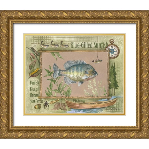 Phillips, Anita 24x20 Gold Ornate Wood Framed with Double Matting Museum Art Print Titled - Blue-Gilled Sunfish