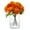 Orange, variant on Enova Home Artificial Greenery Arrangement in Clear Glass Vase With Faux Water