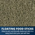 thumbnail image 3 of Tetra ReptoMin Bastones Flotantes de Alimento 2,5 kg, 3 of 9