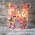 thumbnail image 1 of Pressed Flower Resin Letters With Led Light, Floral Resin Night Light 26 Letters Selection-kk, 1 of 1