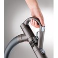 thumbnail image 2 of Aspirateur Turbinehead Animal DC37 de Dyson, 2 of 5