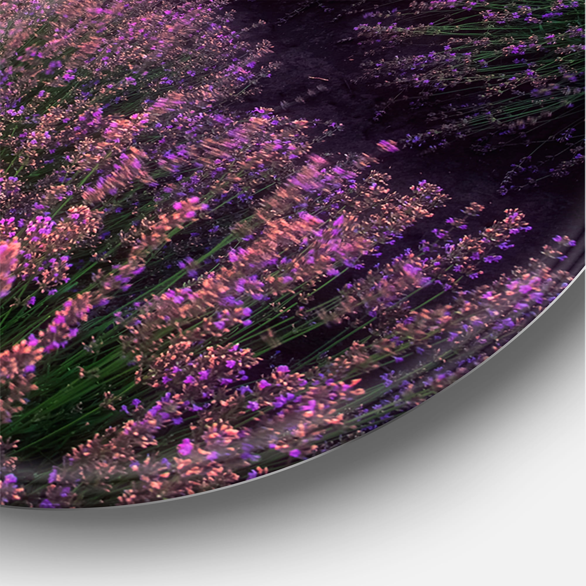 Designart 'Dramatic Clouds and Sunrise Over Lavender Field XIV' Farmhouse Circle Metal Wall Art 11x11 - Disc of 11
