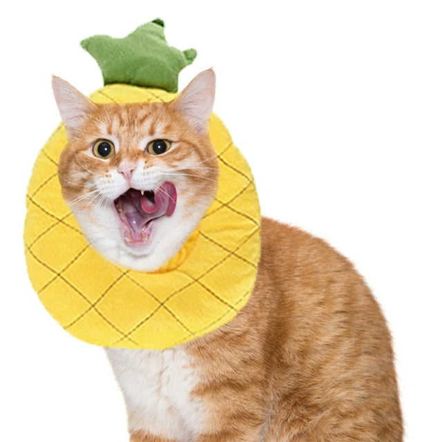 Cat Recovery Collar Adjustable Puppy Recovery Collar Kitten Recovery Cone
