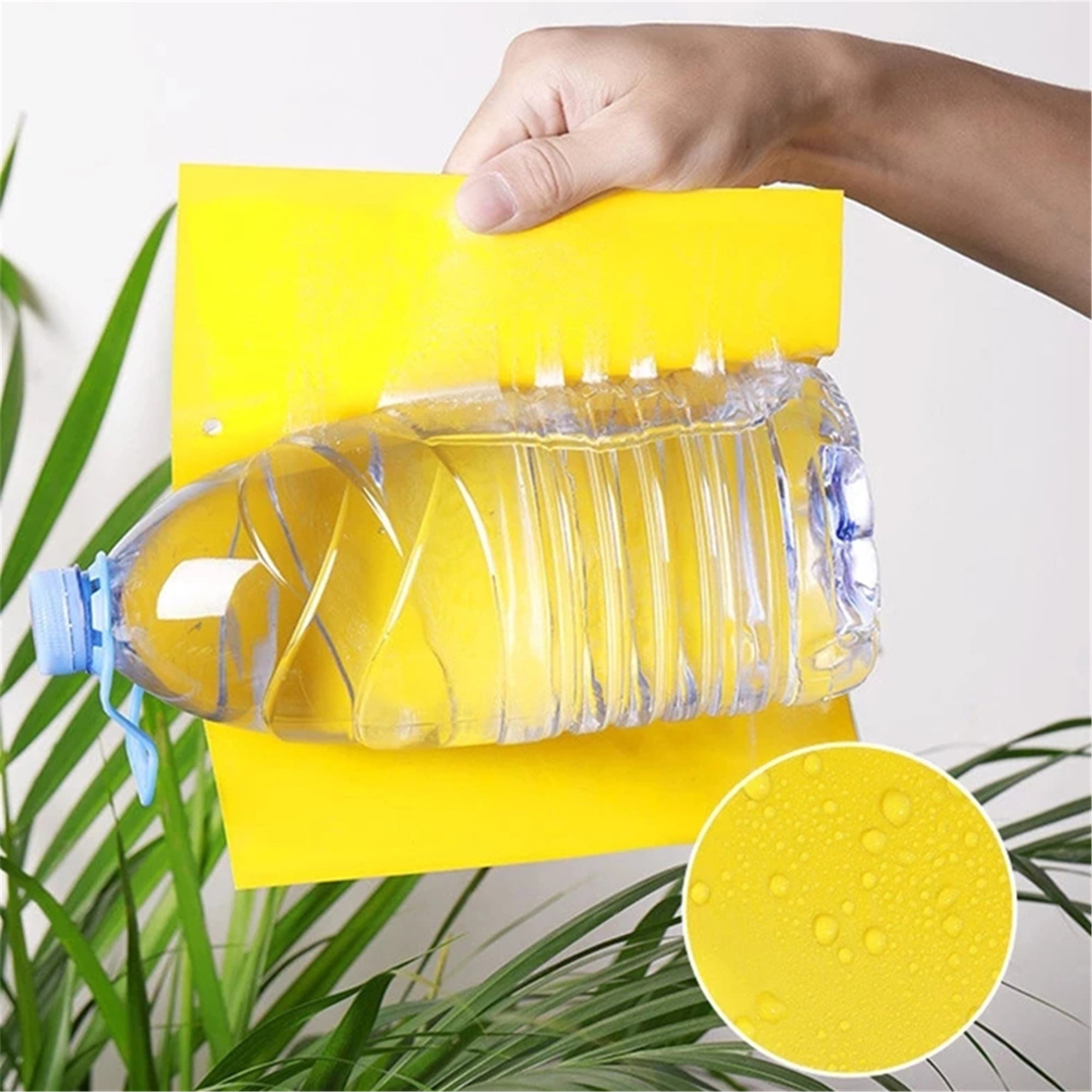 Elbourn 20pcs Sticky Fruit Fly Trap and Fungus Gnat Traps for Indoor and Outdoor, Protect The Plant, Non-Toxic and Odorless, Size: 20PCS-a1, Yellow