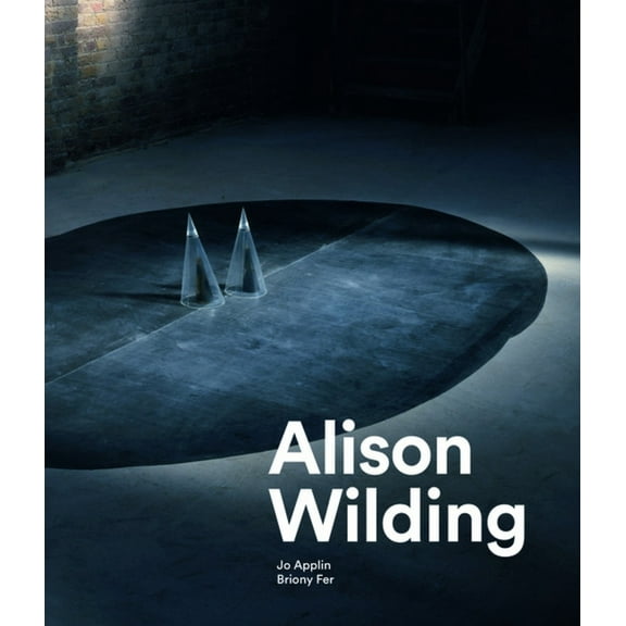 Alison Wilding (Hardcover)