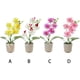 thumbnail image 5 of Flor artificial Naiovety decorativa para macetas Amarillo, 5 of 6