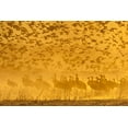 thumbnail image 2 of Illg, Cathy and Gordon 18x13 White Modern Wood Framed Museum Art Print Titled - New Mexico Sandhill cranes and snow geese in fog, 2 of 4