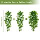 thumbnail image 2 of Plantas colgantes artificiales BLEUM CADE falsas enredaderas Pothos, 2 unidades, 2 of 9