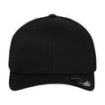 thumbnail image 1 of Flexfit - Gorra de Malla (Negro), 1 of 4