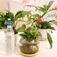 thumbnail image 2 of Sistema de riego económico para jardinería, botella de plástico para bebidas con cabezal rociador para plantas, bebedero para botellas con suministro dirigido, se adapta a la mayoría de las botellas, 2 of 5