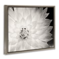 thumbnail image 4 of Stupell Industries Strong Dahlia Petals Botanical & Floral Photography Brown Floater Framed Canvas Art Print Wall Art, 31 x 25, 4 of 10