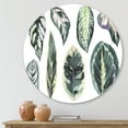 thumbnail image 2 of Designart 'Tropical Calathea Leaves On White' Bohemian & Eclectic Circle Metal Wall Art 11x11 - Disc of 11, 2 of 5