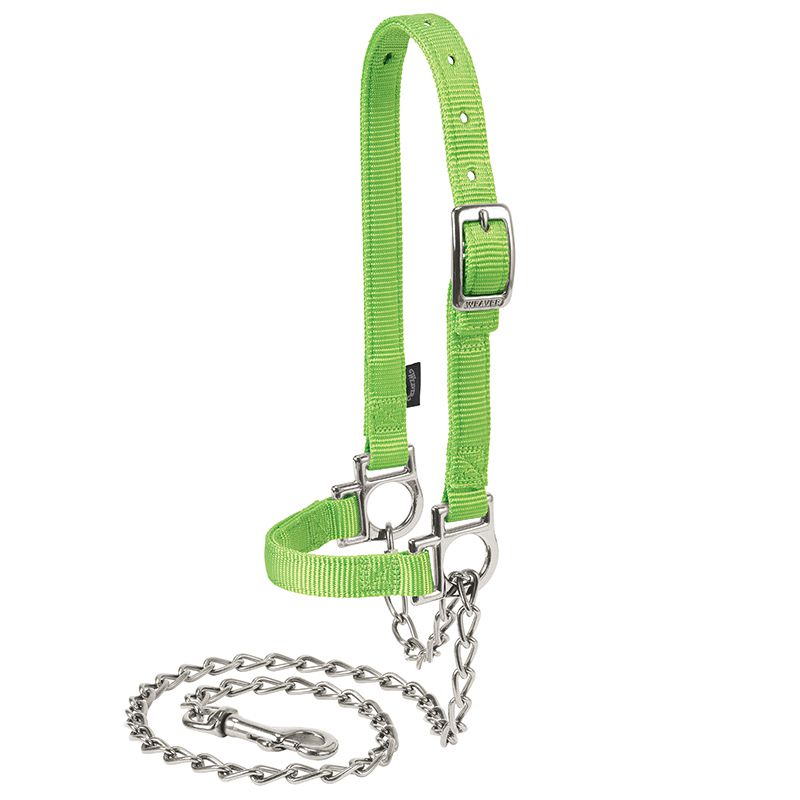 Weaver Leather Livestock Nylon Adjustable Sheep Halter with Chain Lead