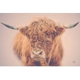 thumbnail image 2 of Art.com Highland in the Winter Fog Stretched Canvas Print Wall Art by Nathan Larson, 24" x 16", 2 of 4